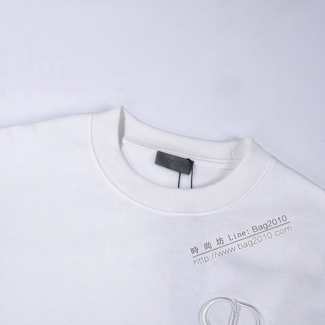 Dior專櫃迪奧2023FW新款刺繡拉絨衛衣 男女同款 tzy3044
